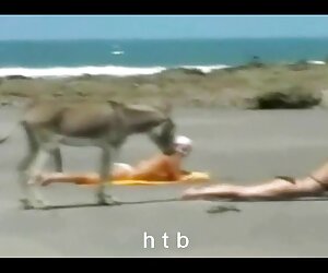 Seks türk şikişler karısı